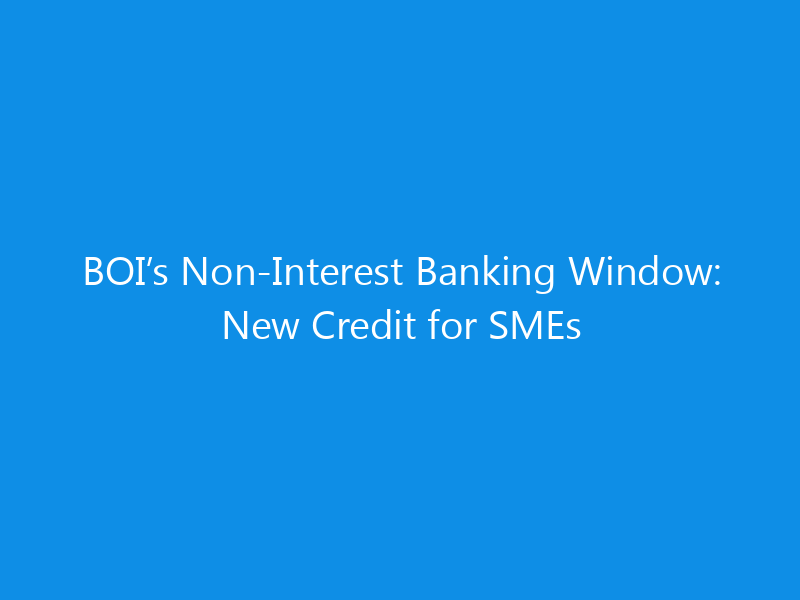 BOI’s Non-Interest Banking Window: New Credit for SMEs 1 bois non interest banking window new credit for smes 1088 7a021 skyweb