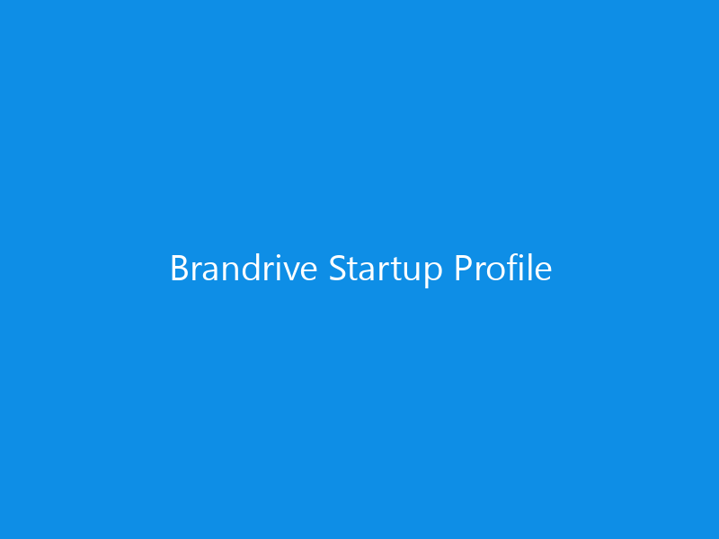 Brandrive Startup Profile