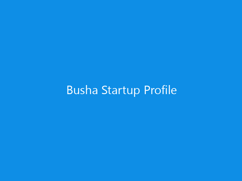 Busha Startup Profile 3 Busha Startup Profile