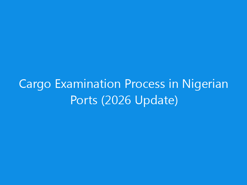 cargo examination process in nigerian ports 2026 update 1769 d099a skyweb