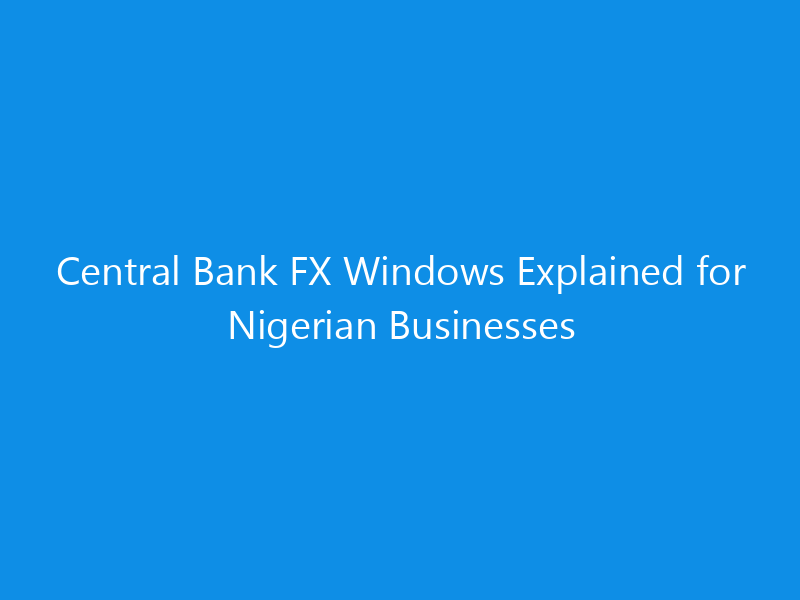 central bank fx windows explained for nigerian businesses 1147 efbf6 skyweb
