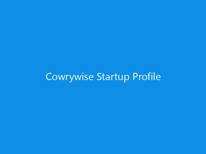 Cowrywise Startup Profile