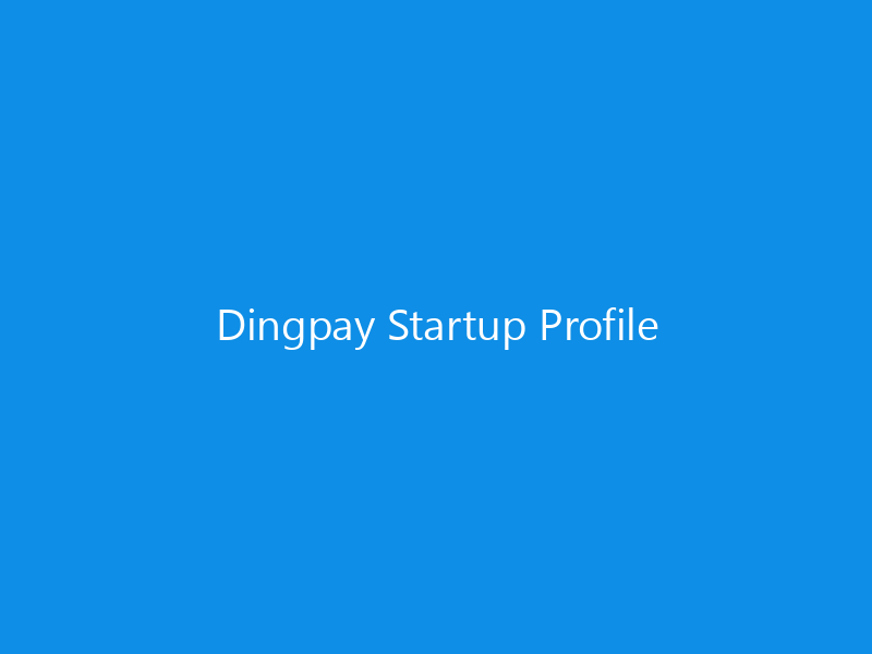 Dingpay Startup Profile 7 Dingpay Startup Profile