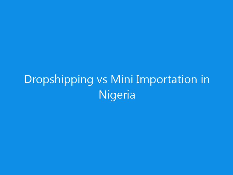 Dropshipping vs Mini Importation in Nigeria 10 Dropshipping vs Mini Importation in Nigeria