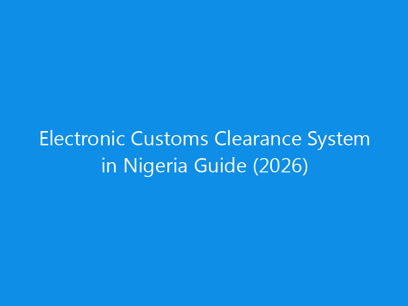 Electronic Customs Clearance System in Nigeria Guide (2026) 2 Electronic Customs Clearance System in Nigeria Guide (2026)