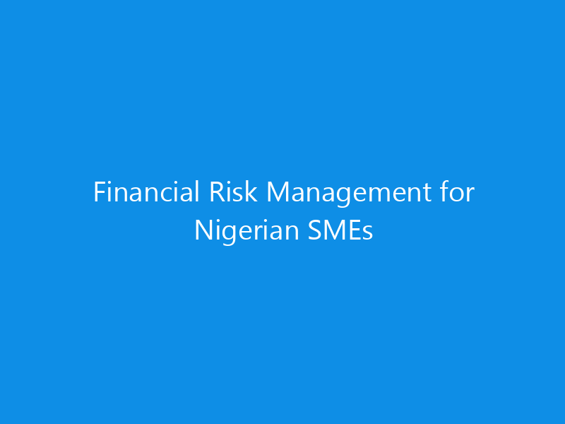 Financial Risk Management for Nigerian SMEs