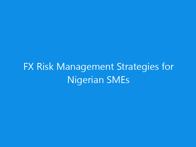 fx risk management strategies for nigerian smes 1078 08b8c skyweb
