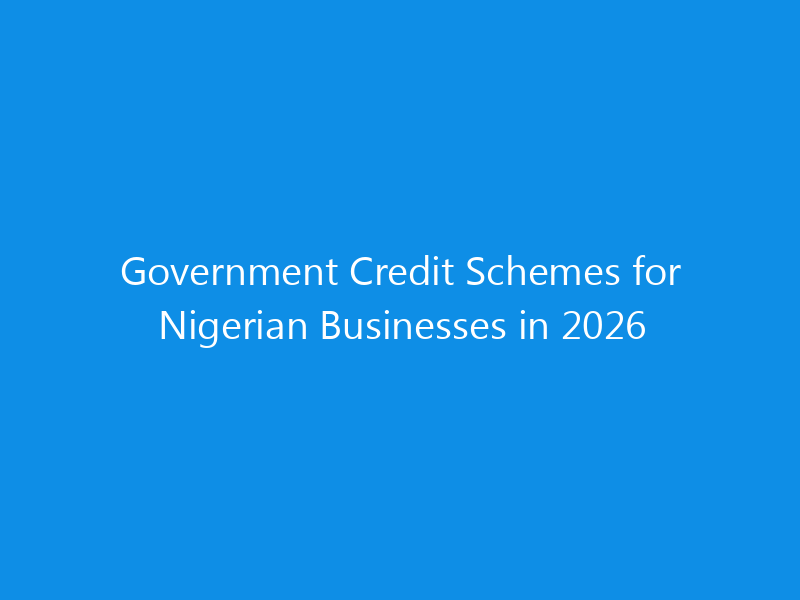 Government Credit Schemes for Nigerian Businesses in 2026 2 Government Credit Schemes for Nigerian Businesses in 2026