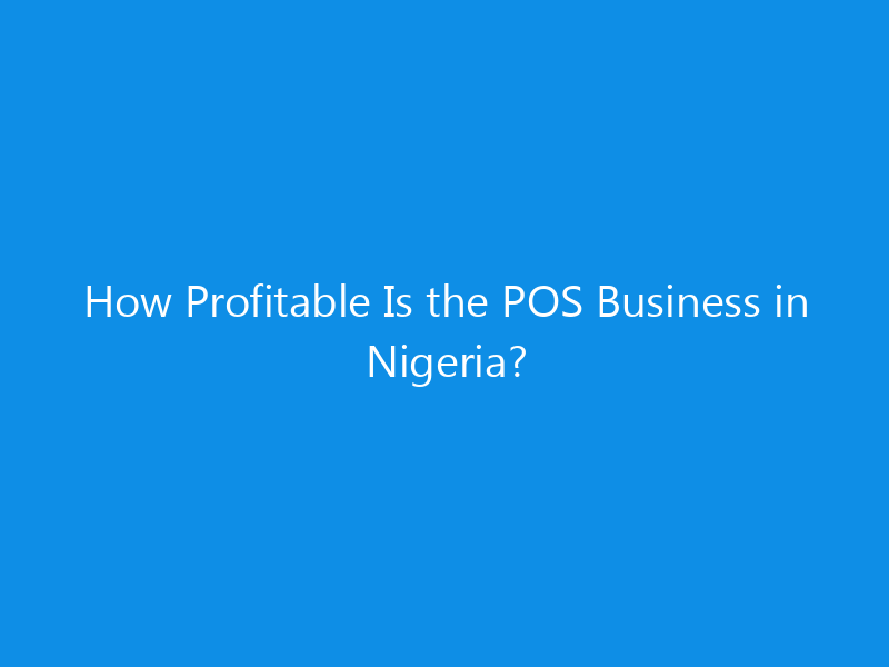 how profitable is the pos business in nigeria 4372 0c333 skyweb