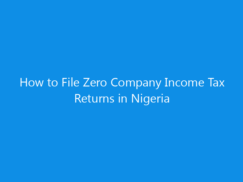 How to File Zero Company Income Tax Returns in Nigeria 6 How to File Zero Company Income Tax Returns in Nigeria