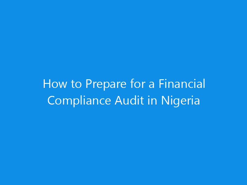 how to prepare for a financial compliance audit in nigeria 1152 6ba41 skyweb