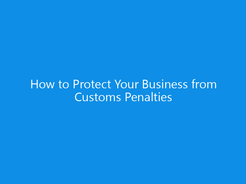 How to Protect Your Business from Customs Penalties