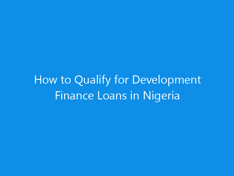 How to Qualify for Development Finance Loans in Nigeria 1 how to qualify for development finance loans in nigeria 1100 9a884 skyweb