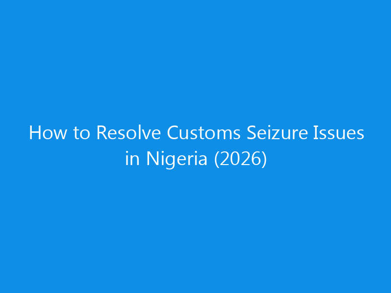 how to resolve customs seizure issues in nigeria 2026 1772 94092 skyweb