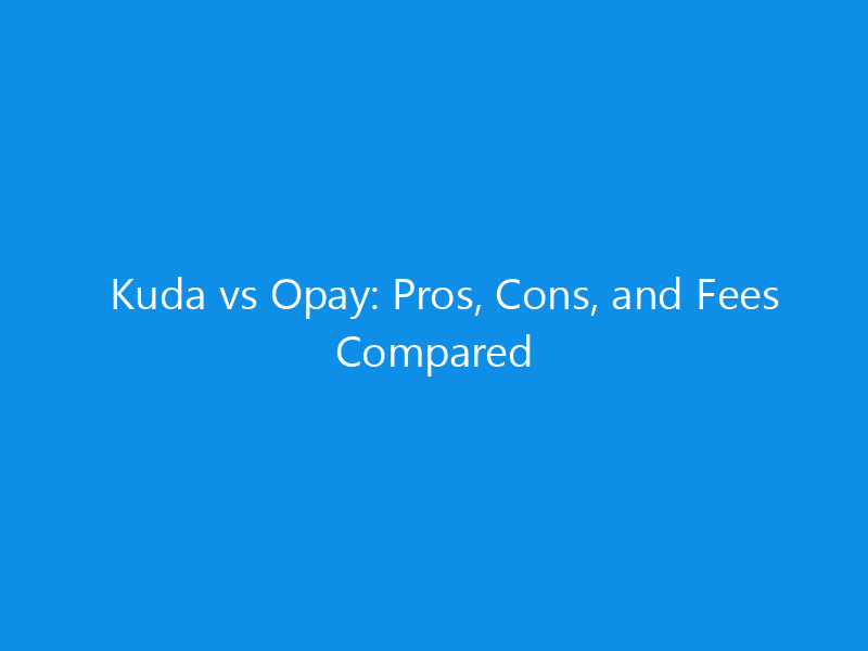 Kuda vs Opay: Pros, Cons, and Fees Compared 4 Kuda vs Opay: Pros, Cons, and Fees Compared