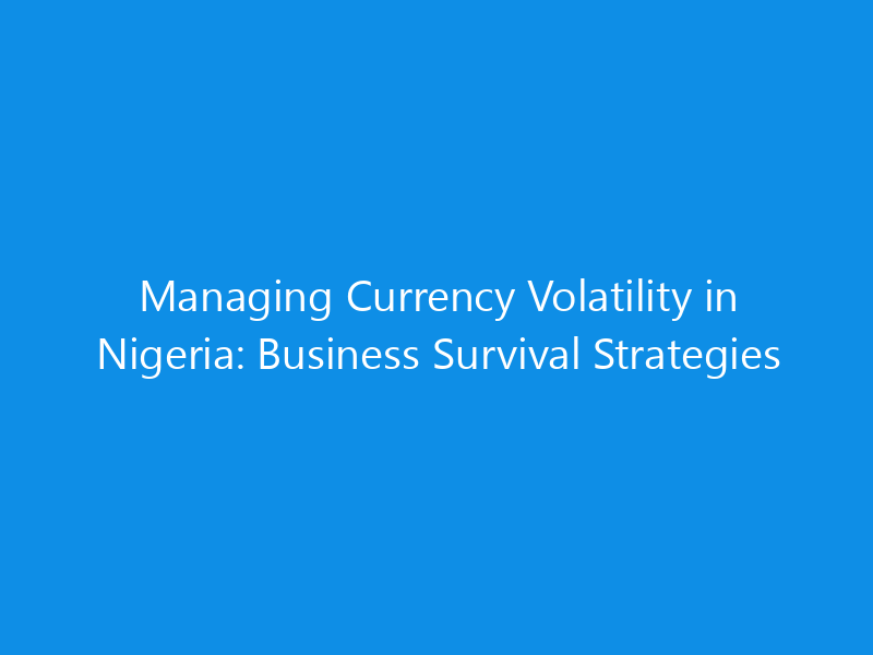managing currency volatility in nigeria business survival strategies 1114 93d08 skyweb