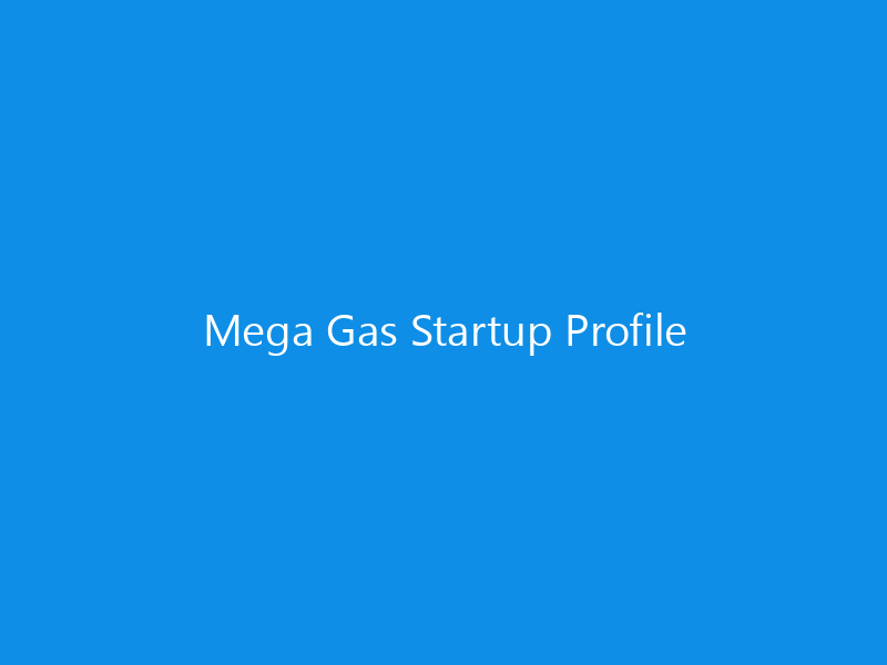 Mega Gas Startup Profile