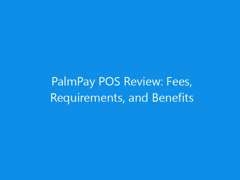 PalmPay POS Review: Fees, Requirements, and Benefits 6 PalmPay POS Review: Fees, Requirements, and Benefits