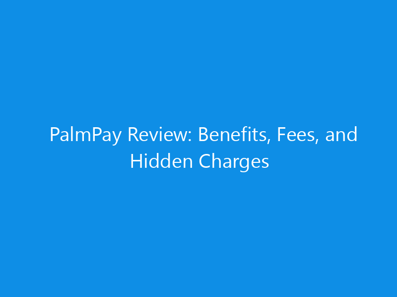 PalmPay Review: Benefits, Fees, and Hidden Charges