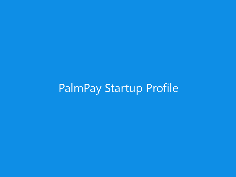 PalmPay Startup Profile 1 PalmPay Startup Profile