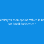 palmpay vs moniepoint which is best for small businesses 4349 aaa90 skyweb