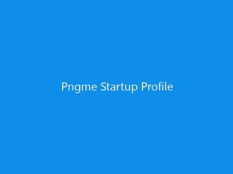 Pngme Startup Profile 5 Pngme Startup Profile