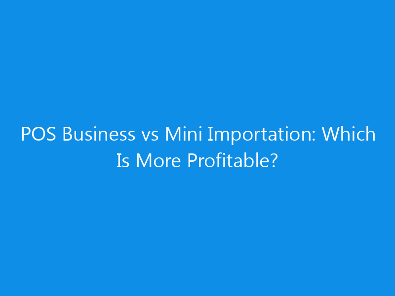 POS Business vs Mini Importation: Which Is More Profitable? 1 pos business vs mini importation which is more profitable 4375 1311e skyweb