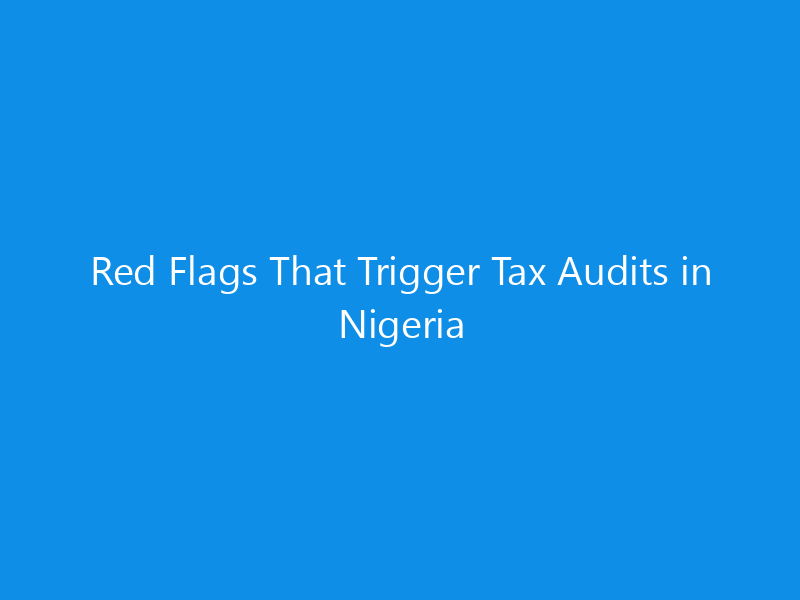 Red Flags That Trigger Tax Audits in Nigeria