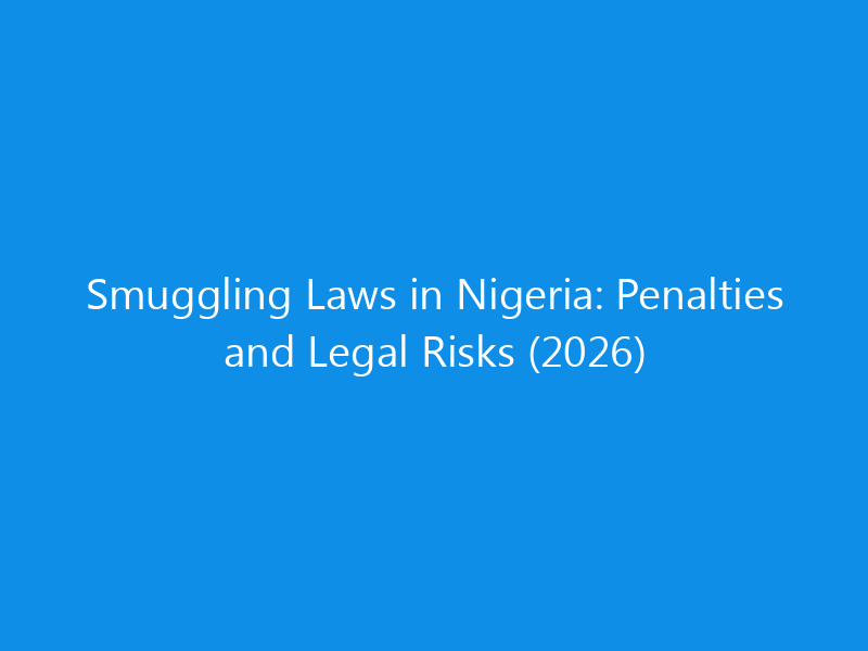 Smuggling Laws in Nigeria: Penalties and Legal Risks (2026)