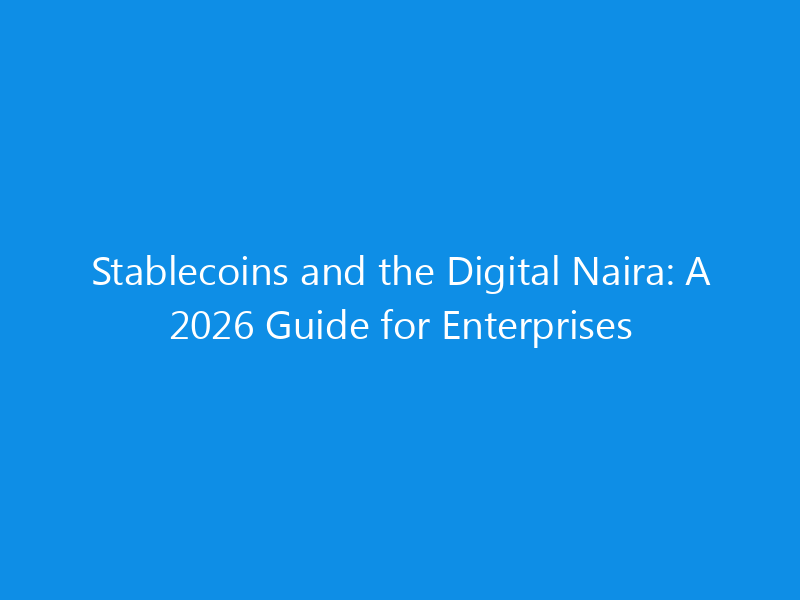 stablecoins and the digital naira a 2026 guide for enterprises 1083 064b7 skyweb