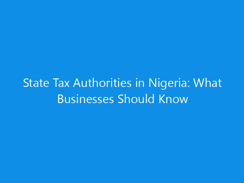State Tax Authorities in Nigeria: What Businesses Should Know