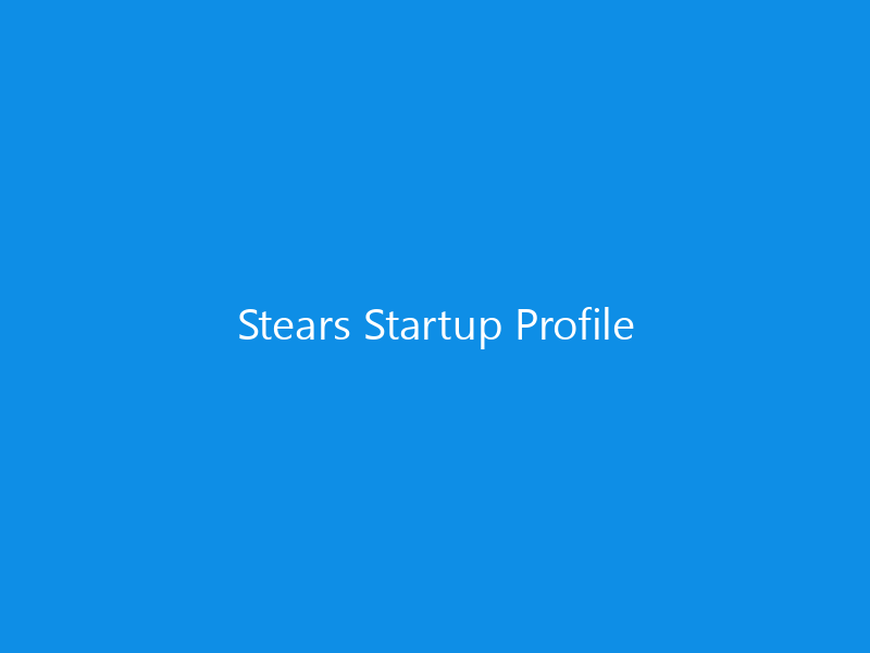 Stears Startup Profile 8 Stears Startup Profile