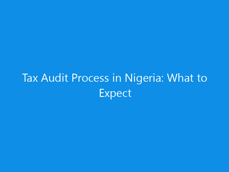 Tax Audit Process in Nigeria: What to Expect 1 tax audit process in nigeria what to skyweb
