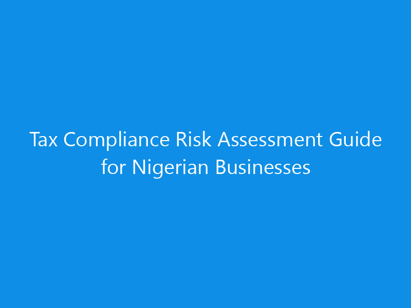Tax Compliance Risk Assessment Guide for Nigerian Businesses 1 tax compliance risk assessment guide for nigerian businesses 1482 cb85f skyweb
