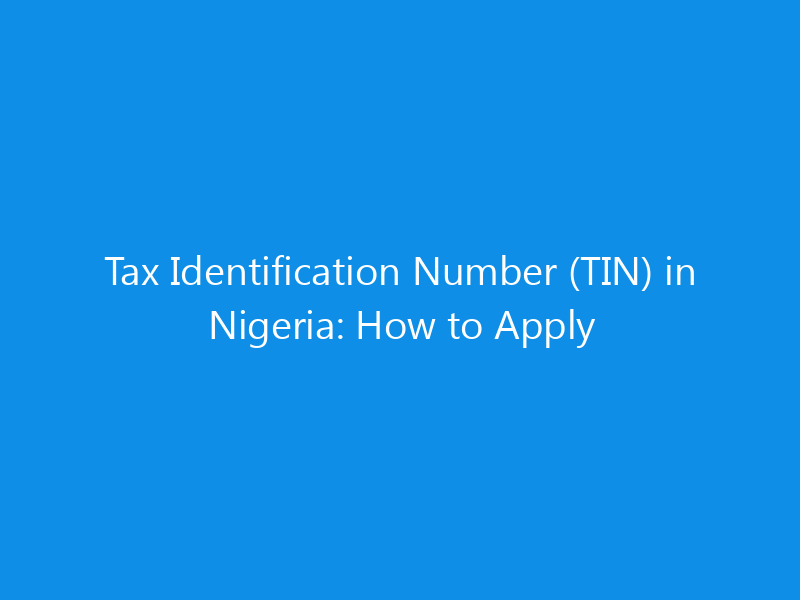 Tax Identification Number (TIN) in Nigeria: How to Apply