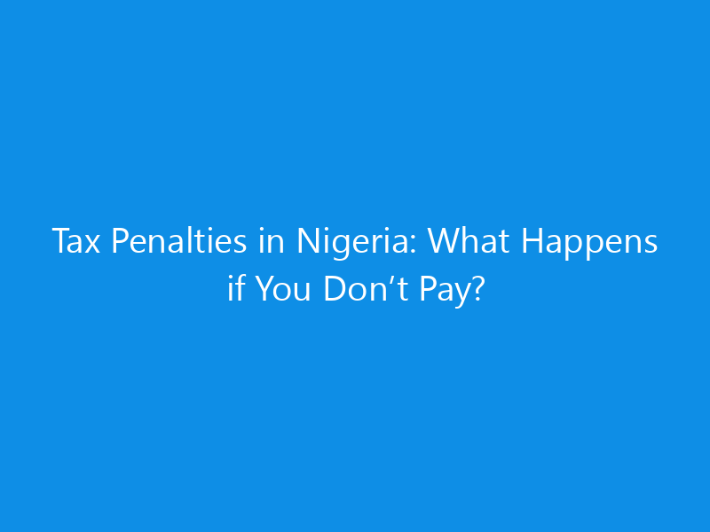 Tax Penalties in Nigeria: What Happens if You Don’t Pay? 1 tax penalties in nigeria what happens if you dont pay 1418 83d33 skyweb