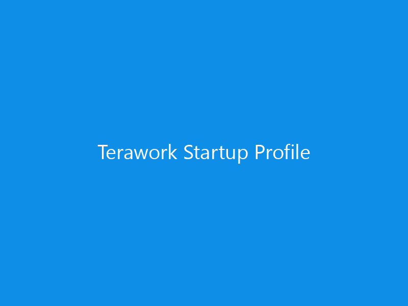 Terawork Startup Profile