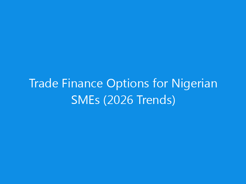 trade finance options for nigerian smes 2026 trends 1787 98552 skyweb