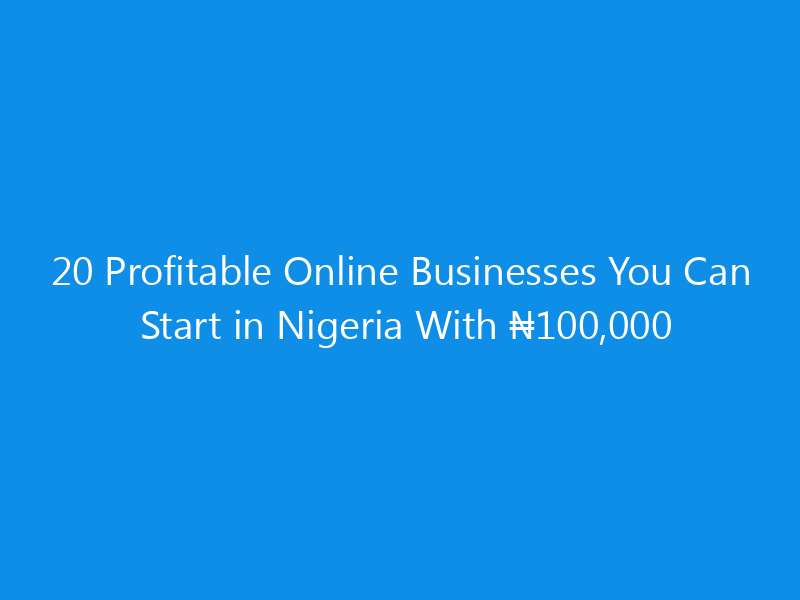 20 profitable online businesses you can start in nigeria with e282a6100000 4905 dec6a skyweb