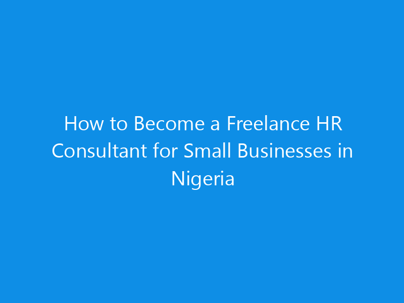 How to Become a Freelance HR Consultant for Small Businesses in Nigeria 1 how to become a freelance hr consultant for small businesses in nigeria 4987 88efa skyweb