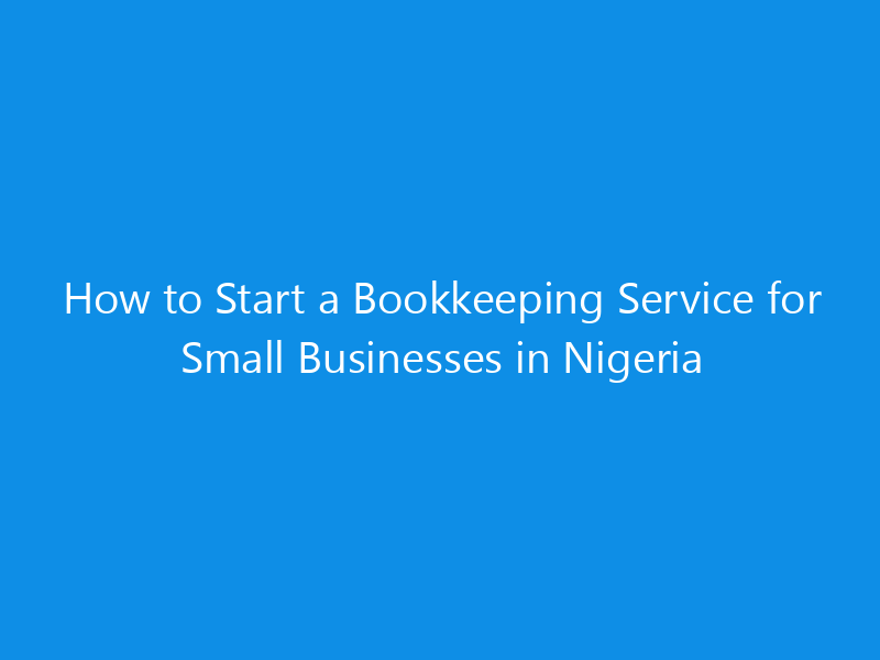 How to Start a Bookkeeping Service for Small Businesses in Nigeria 1 how to start a bookkeeping service for small businesses in nigeria 4929 6e0c5 skyweb