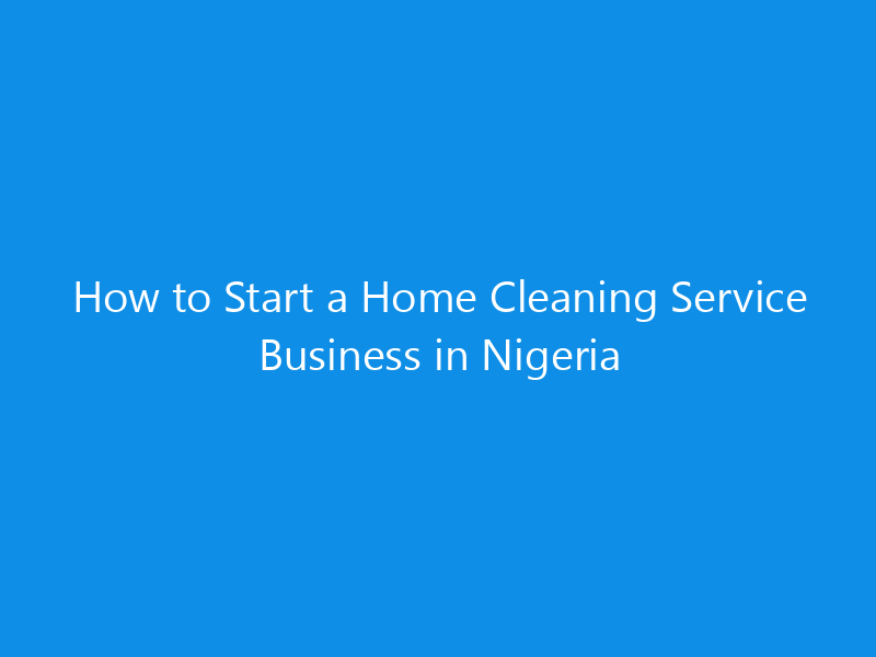 How to Start a Home Cleaning Service Business in Nigeria 1 how to start a home cleaning service business in nigeria 4970 1679c skyweb