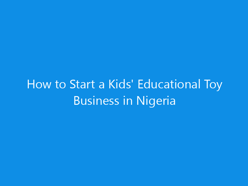 How to Start a Kids' Educational Toy Business in Nigeria 1 how to start a kids educational toy business in nigeria 4994 b910b skyweb