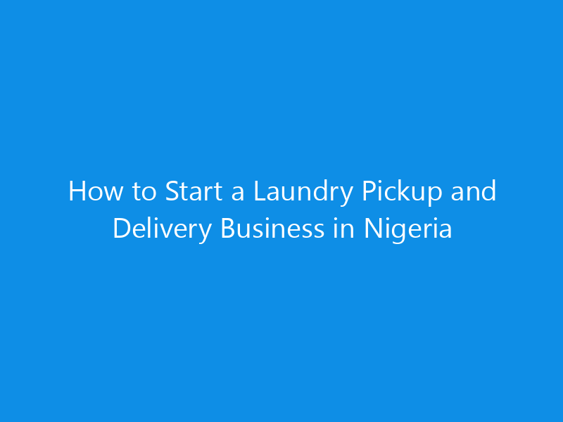 how to start a laundry pickup and delivery business in nigeria 4968 fc440 skyweb