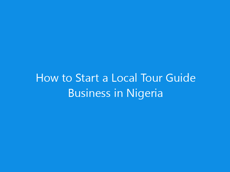 How to Start a Local Tour Guide Business in Nigeria 9 How to Start a Local Tour Guide Business in Nigeria