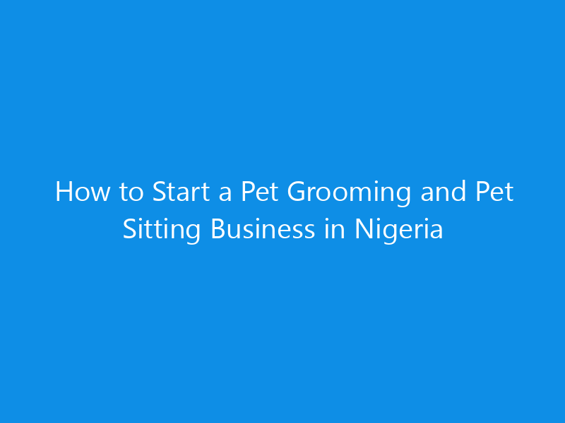 how to start a pet grooming and pet sitting business in nigeria 4974 25a03 skyweb