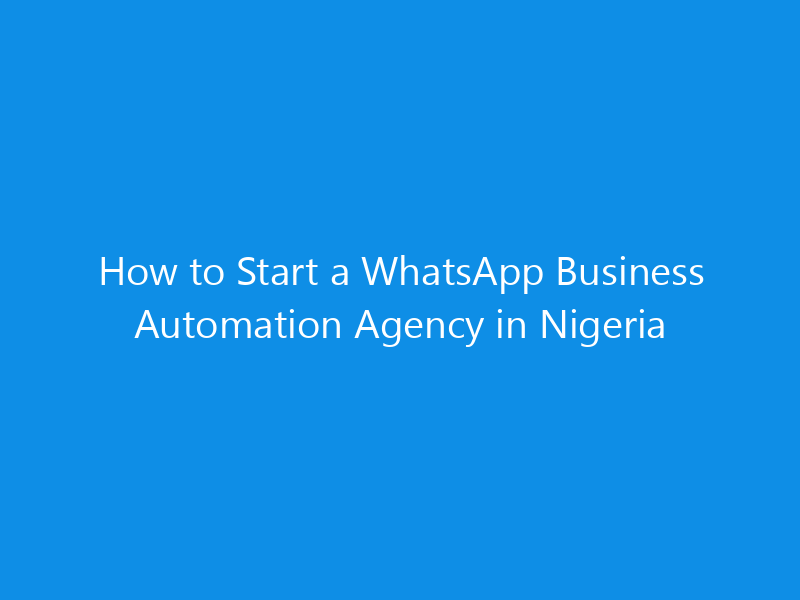 How to Start a WhatsApp Business Automation Agency in Nigeria 1 how to start a whatsapp business automation agency in nigeria 4933 47583 skyweb