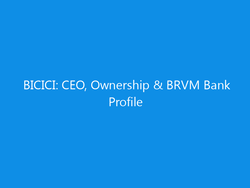 BICICI: CEO, Ownership & BRVM Bank Profile 4 BICICI: CEO, Ownership & BRVM Bank Profile
