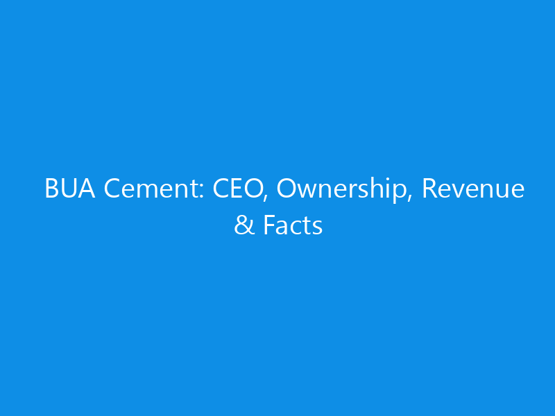 bua cement ceo ownership revenue facts 6289 23f36 skyweb