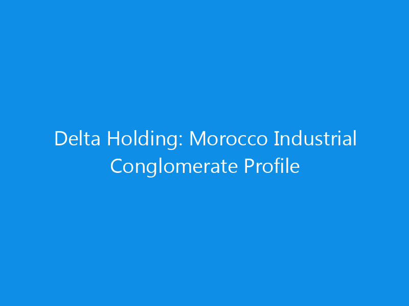 delta holding morocco industrial conglomerate profile 6352 93d86 skyweb